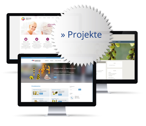 Projekte